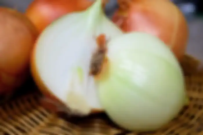 Manfaat bawang bombay 