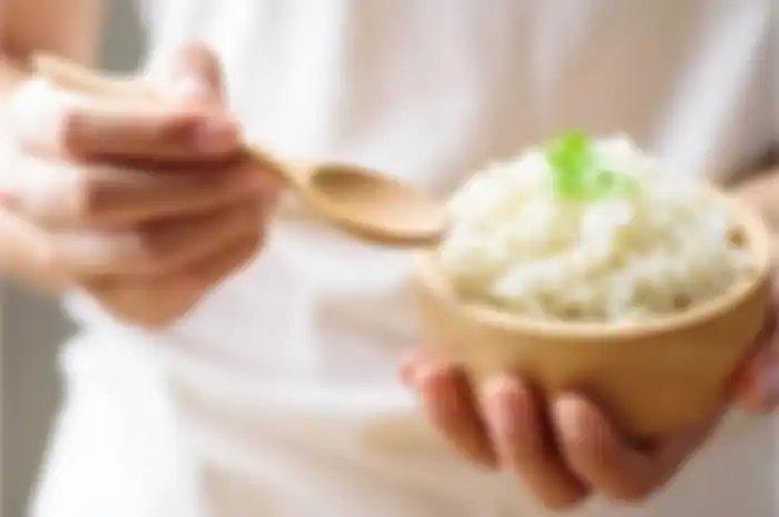 Makan nasi