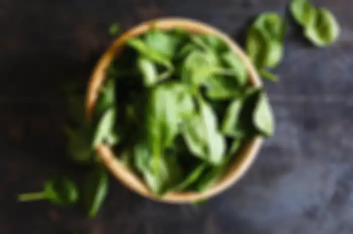Sayur bayam 