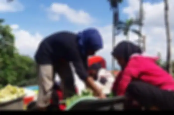 Suasana persiapan bakar batu oleh komunitas muslim asal pegunungan Papua. 
