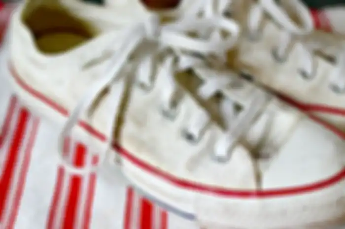 Sepatu kanvas