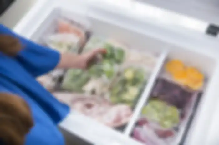 Bisnis Frozen Food