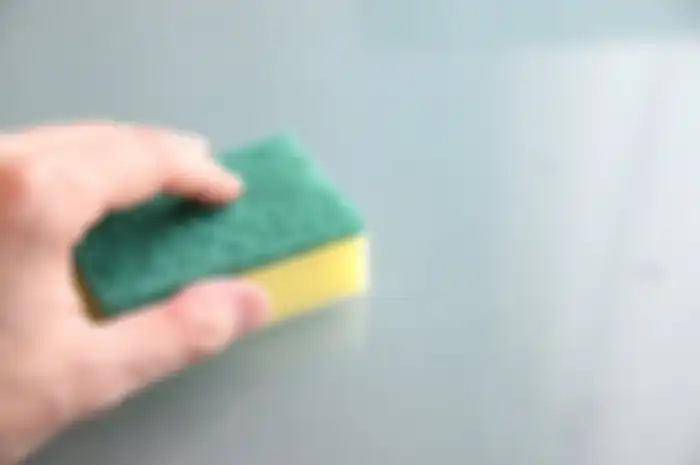 Spons cuci piring perlu dibersihkan dan diganti secara rutin.