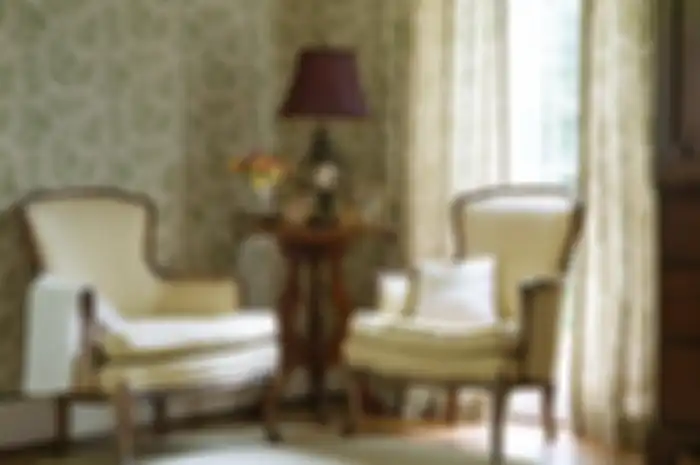Ilustrasi interior dengan toile