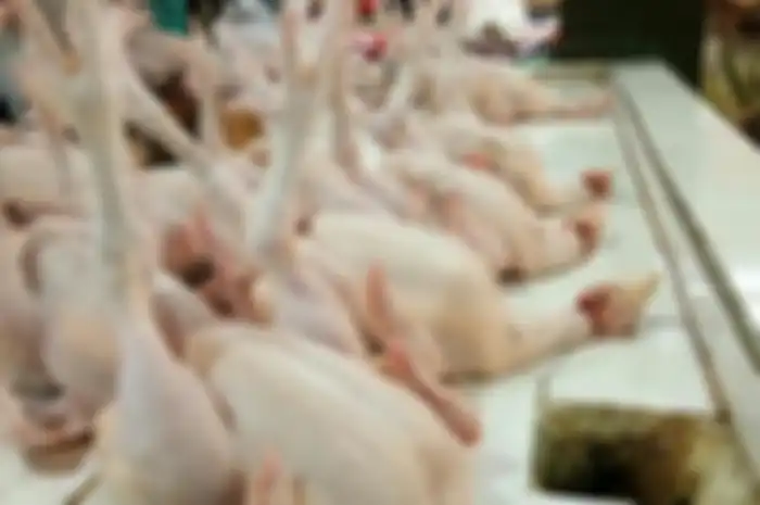 Daging ayam 