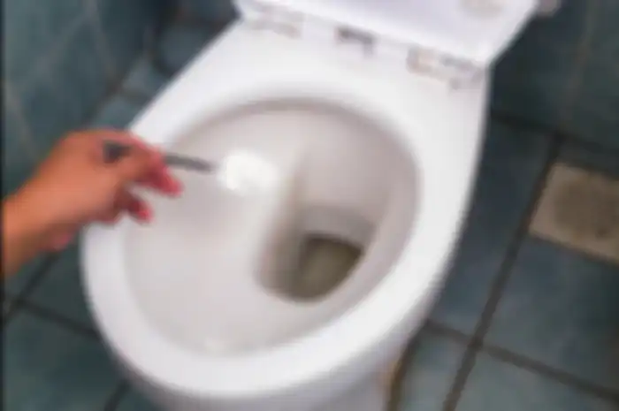 Ini jadinya kalau kita taburkan garam ke kloset toilet
