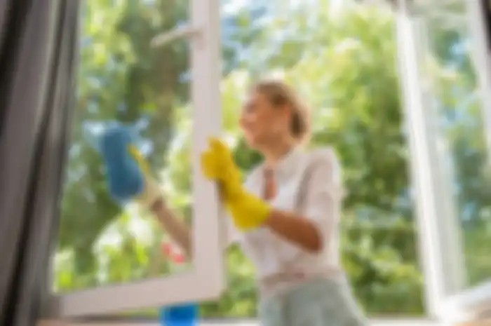 Rayap Bergentayangan di Setiap Sudut Rumah, Kenapa Tidak Beralih ke Kusen Upvc? Ini Kelebihannya yang Mesti IDEA Lovers Tahu!