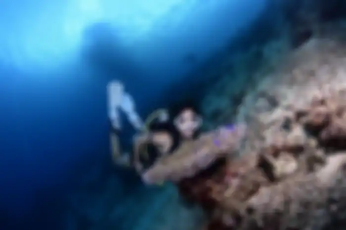 Gisel pamer foto diving atau menyelam di Parigi, Sulawesi Tengah. Dia mengaku gemes melihat hewan unik ini. 