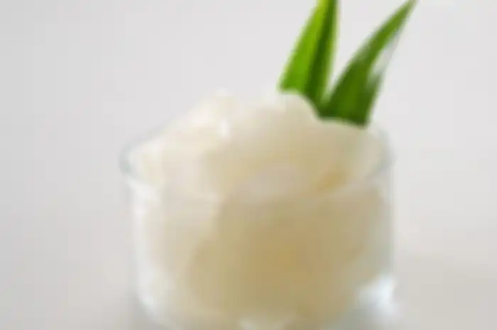 Manfaat kolang-kaling
