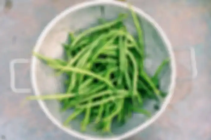 manfaat buncis untuk kesehatan