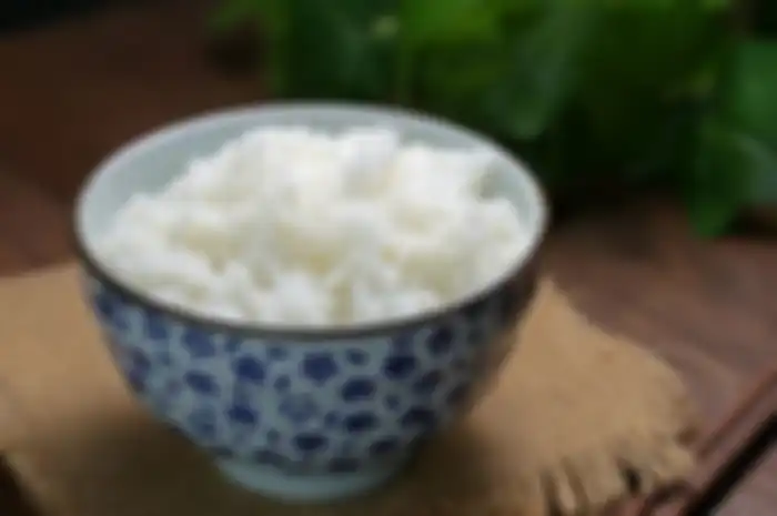 Nasi Putih
