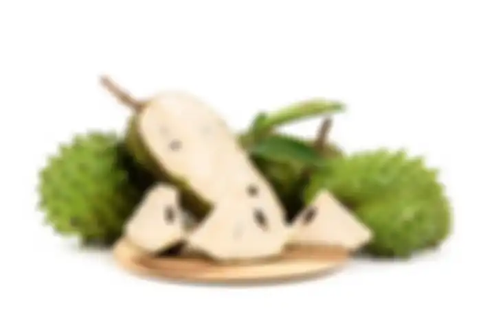 Ilustrasi buah sirsak