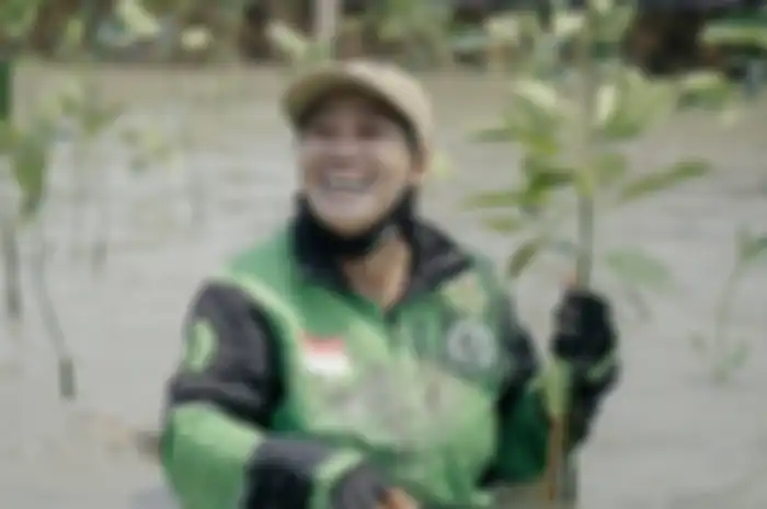 Driver Gojek melakukan penanaman pohon di Taman Konservasi Mangrove Bedono