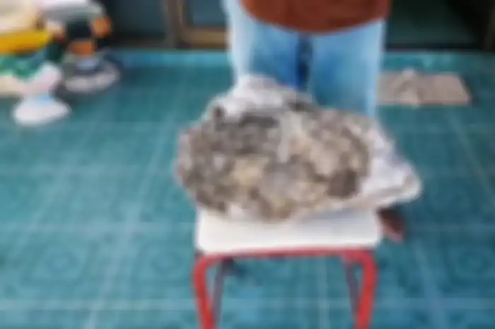 Ambergris atau muntahan ikan paus yang ditemukan Sorachit