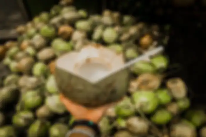 Air kelapa tinggi akan antioksidan.