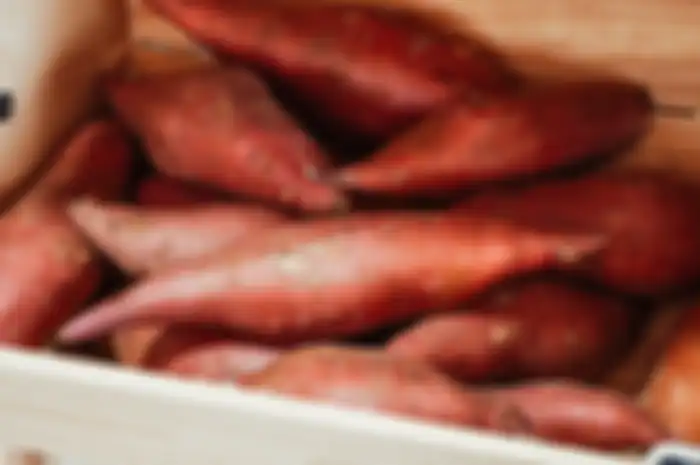 Makan ubi jalar sangat bagus karena tinggi serat dan kaya akan vitamin c.