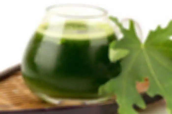 daun pepaya