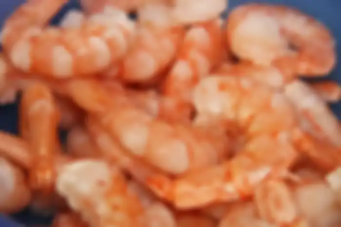 Ilustrasi udang