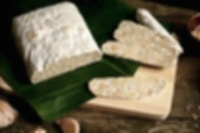 menyimpan tempe