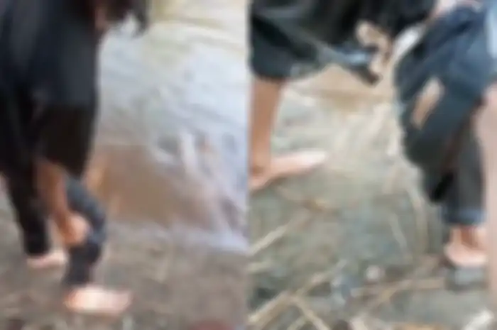 Celana wisatawan kemasukan ular.