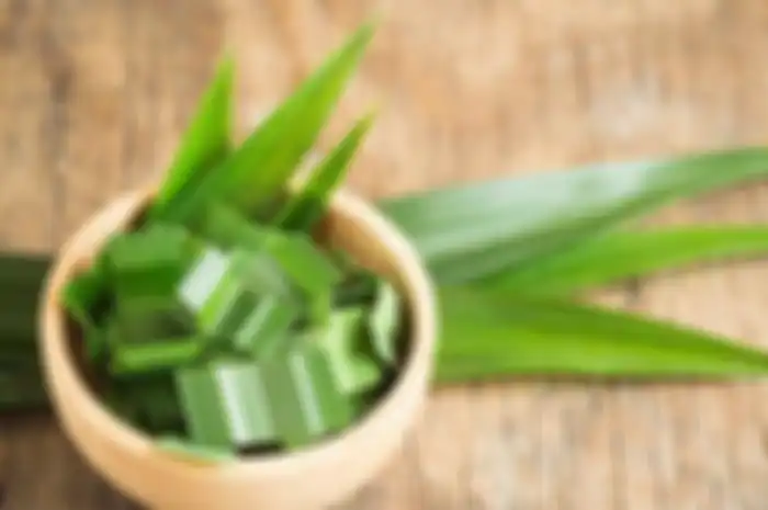 daun pandan