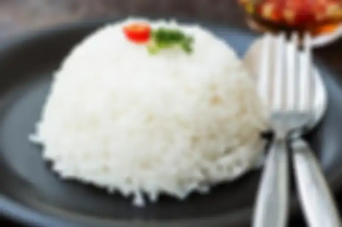Nasi putih