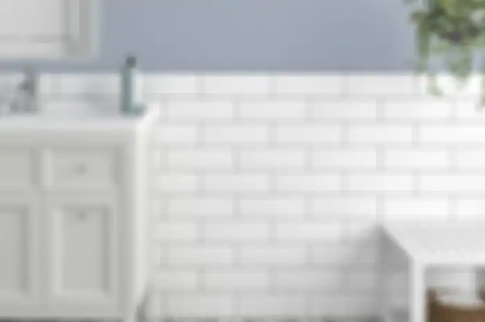 Bisa Hilang Tanpa Obat, Cacing Bakal Lenyap Selamanya Jika Kamar Mandi Tak Dibiarkan Basah, Simak Biang Keladi Lainnya!