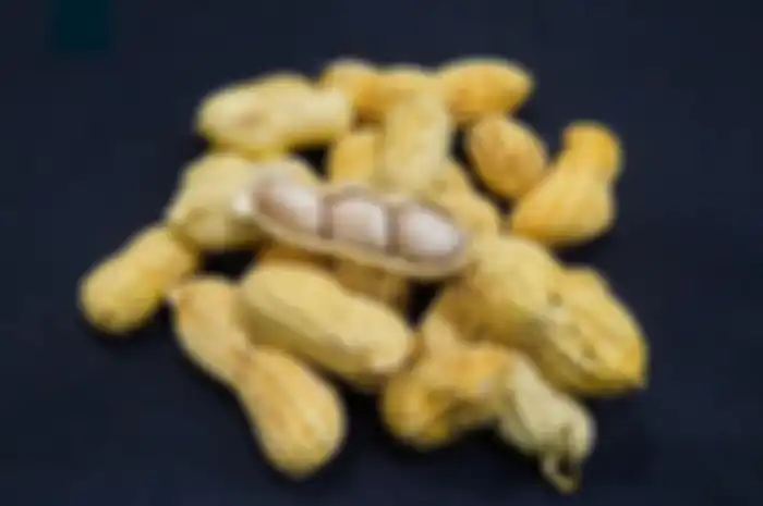 Manfaat kacang tanah untuk kesehatan