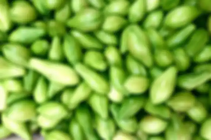 Khasiat mujarab dari labu siam 