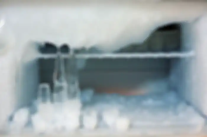 Ilustrasi bunga es di freezer