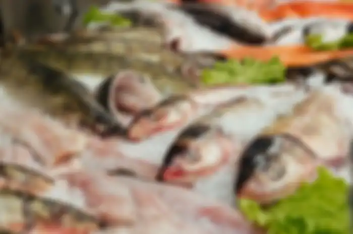 Cara memilih ikan segar