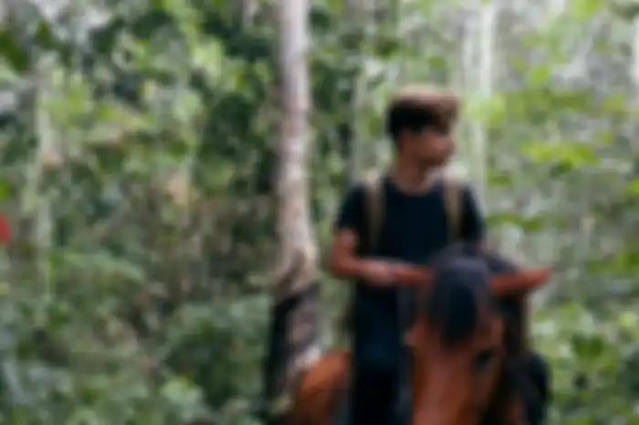 Andrew Kalaweit menunggangi kuda di hutan. 