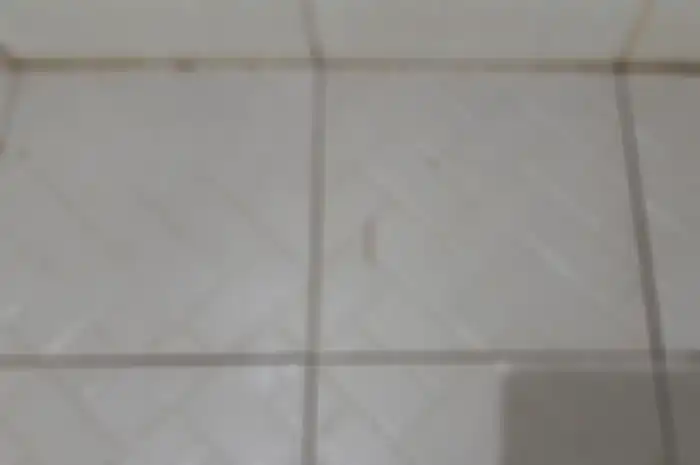 Kebiasaan Ini Ternyata Penyebab Banyak Cacing di Kamar Mandi