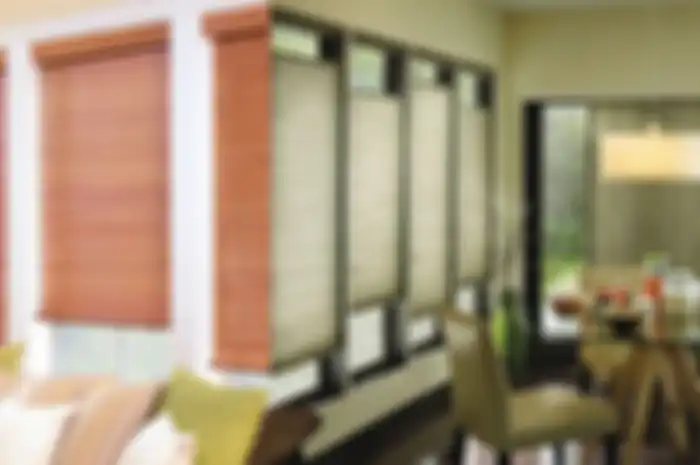 Ilustrasi tirai blinds dan shades