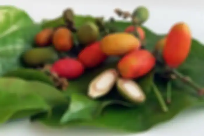 Manfaat melinjo