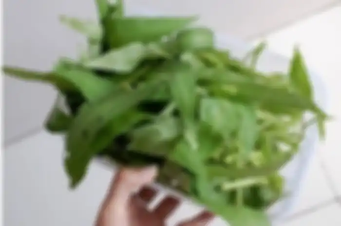 memasak kangkung harus dibersihkan dengan cara ini