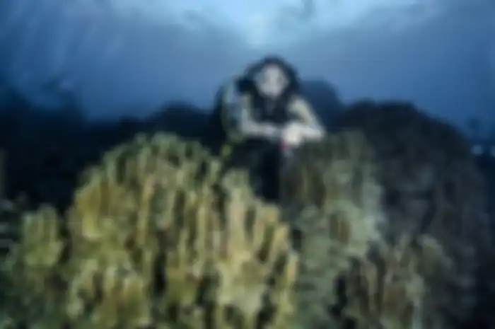 Gisel ketagihan diving di Kepualiuan Togean. Mantan istri Gading Marten pamer foto diving hingga memicu fantasi liar. 
