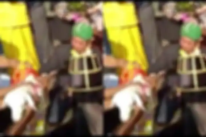 Viral pria Gresik nikahi domba, fakta sebenarnya bikin Bupati geram. 