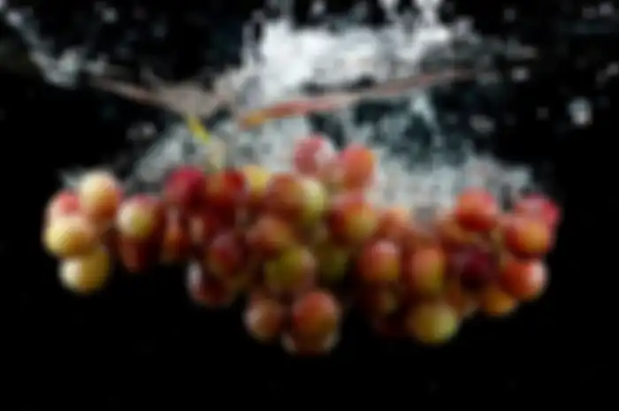 ilustrasi grape water