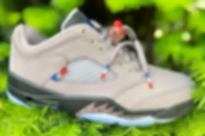 Air Jordan X PSG 5 Low