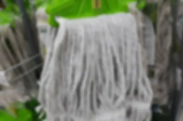 Begini cara membersihkan kain pel yang berminyak, cuma butuh air hangat