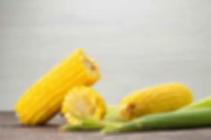 Jagung 