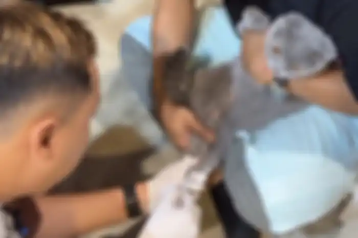 Gisel sengaja memelihara kucing demi Gempi. Ketika kucing Gisel disuntik, respons Gempi menjadi sorotan. 