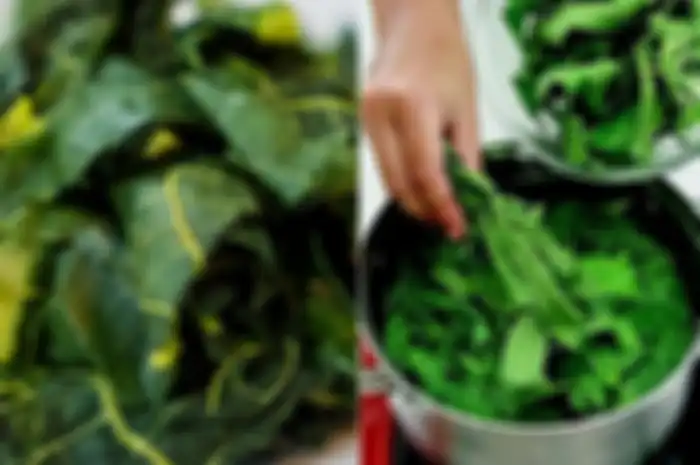 Khasiat dari mengonsumsi air rebusan daun pepaya setiap hari