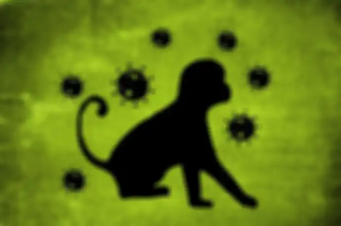 Ilustrasi wabah penyakit baru cacar monyet atau monkeypox