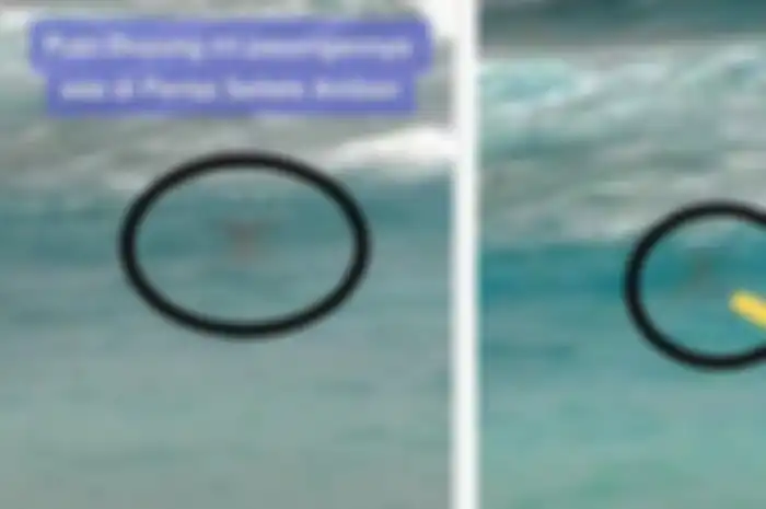 Viral Penampakan Makhluk Diduga Putri Duyung di Laut Latulahat Ambon  