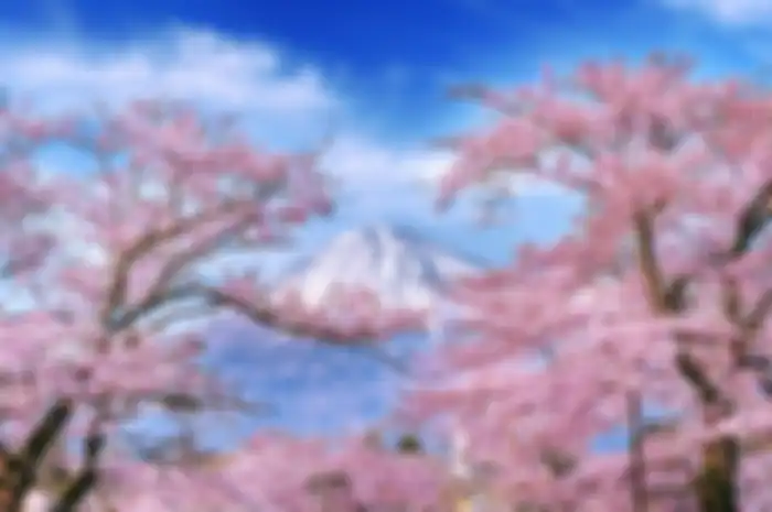 Bunga Sakura