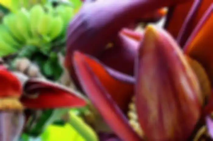 Cuma modal olah jantung pisang seperti ini bisa bantu kendalikan kadar gula darah