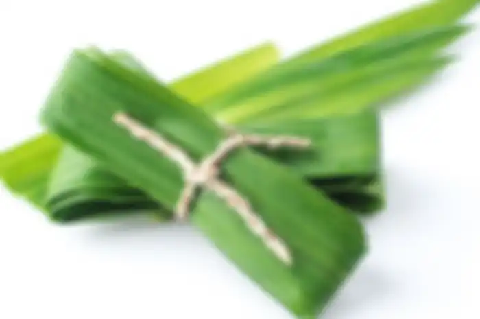 Daun pandan