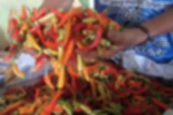 Harga cabai rawit naik hingga tembus Rp 140 ribu per kilo, Senin (11/07/2022).